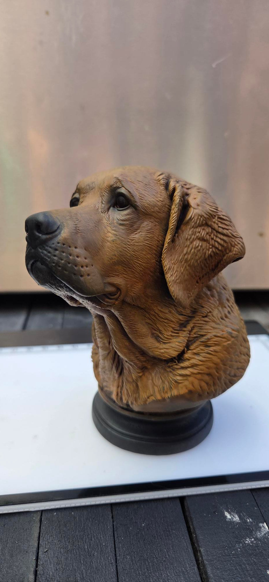 The Pet Wizard – Classic Pet Bust