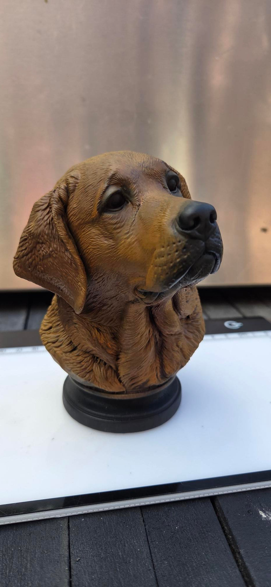 The Pet Wizard – Classic Pet Bust